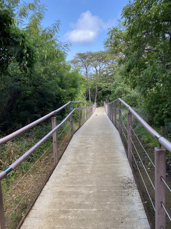 Concrete Path Installation in Arlington, TX