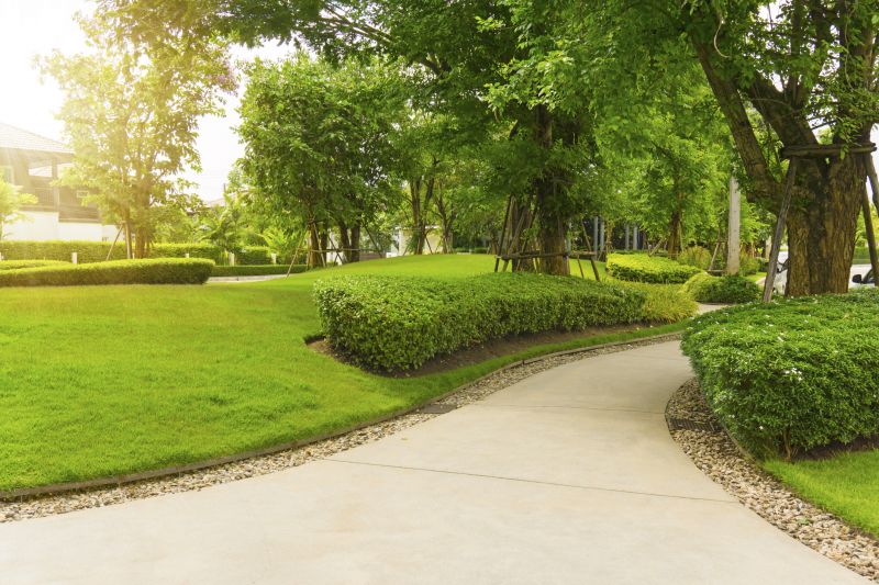 Walkway Replacement in Arlington, TX